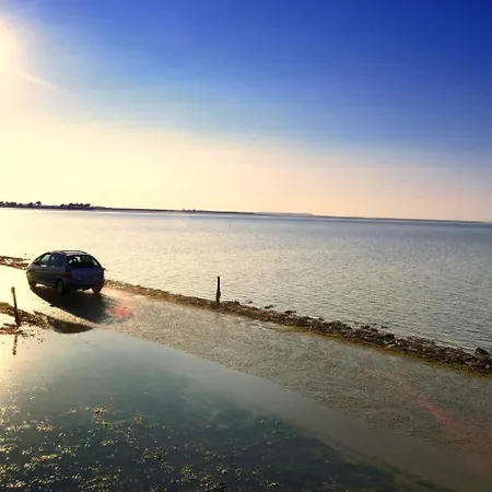 Maison Pour 8 - 100 M De La - Jardin Nyaraló